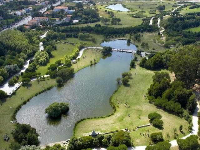 Parque da Cidade no Porto