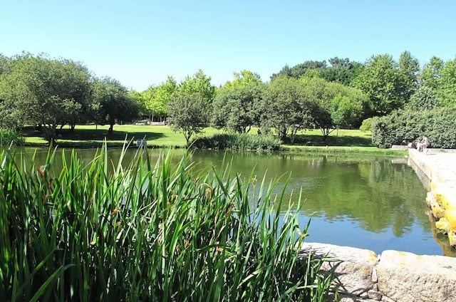 Lago no Parque da Cidade