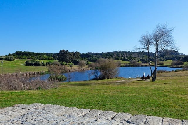 Parques no Porto - Parque da Cidade