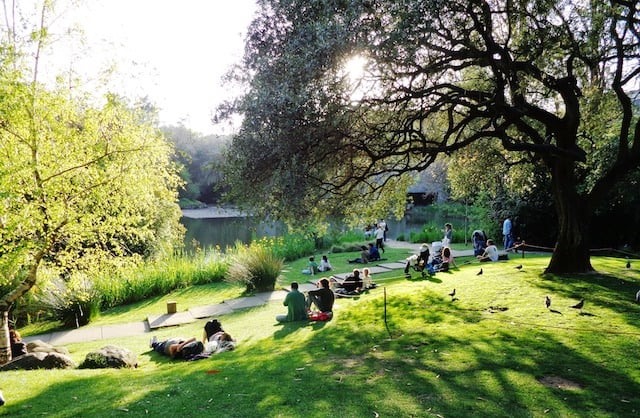 Jardins do Gulbenkian em Lisboa