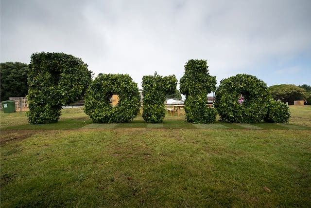 Parques no Porto