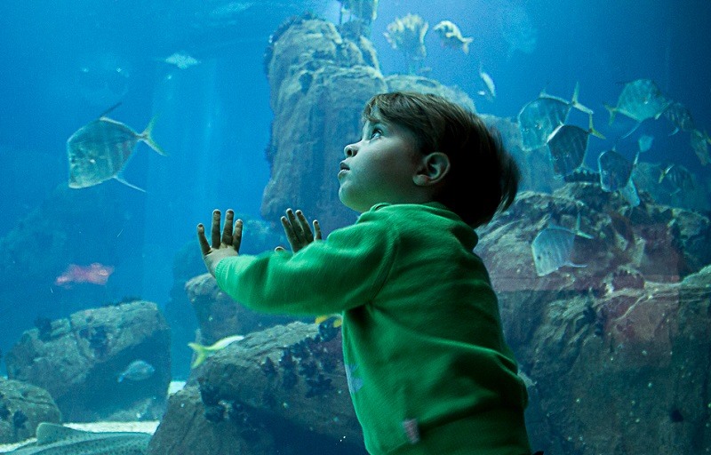 Criança no Oceanário de Lisboa