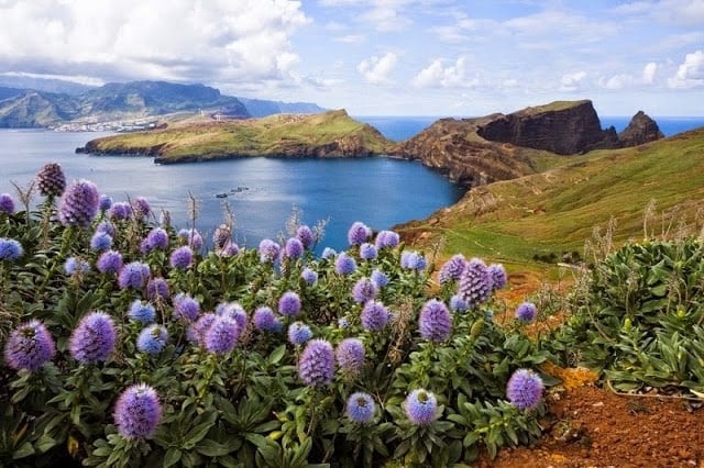 Vista e vegetação da Ponta de São Lourenço