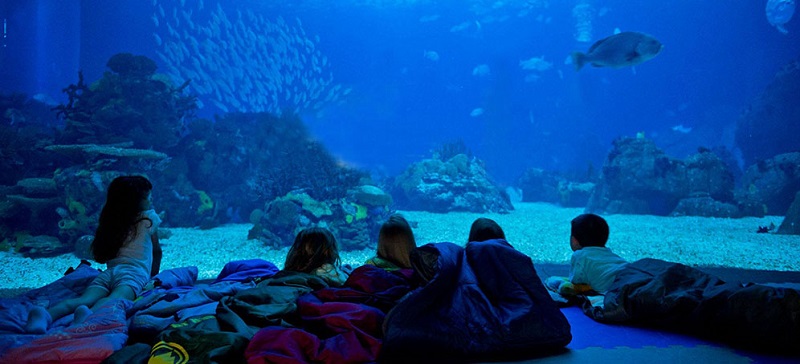 Noite no Oceanário de Lisboa