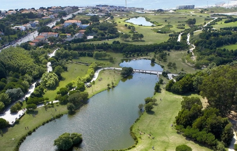 Parque da Cidade