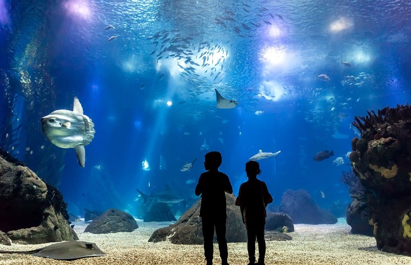 Crianças no Oceanário de Lisboa