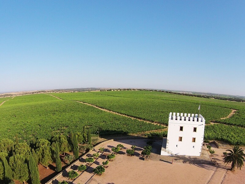 Herdade do Esporão