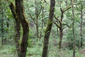 Geografia do Parque Nacional Peneda-Gerês