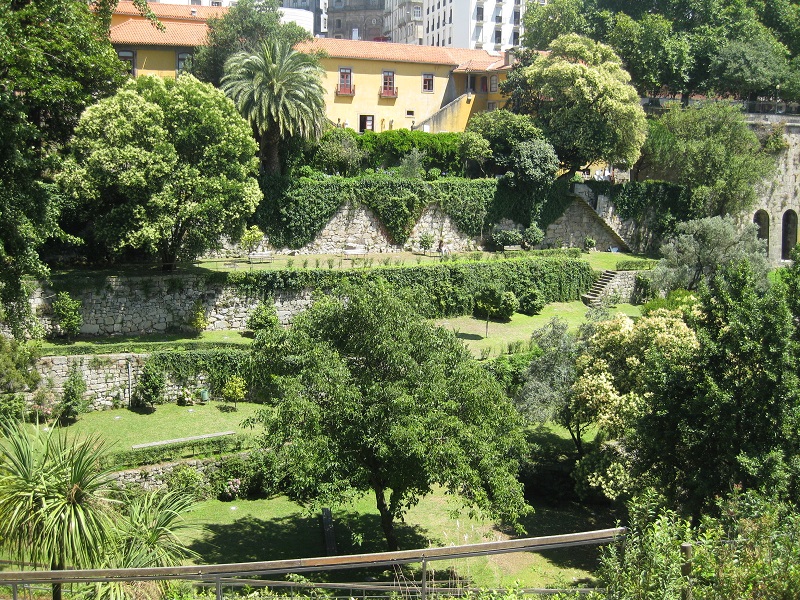 Árvores do Jardim das Virtudes no Porto