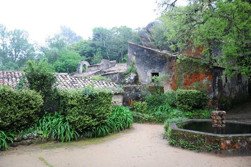 Floresta ao redor do Convento dos Capuchos em Sintra