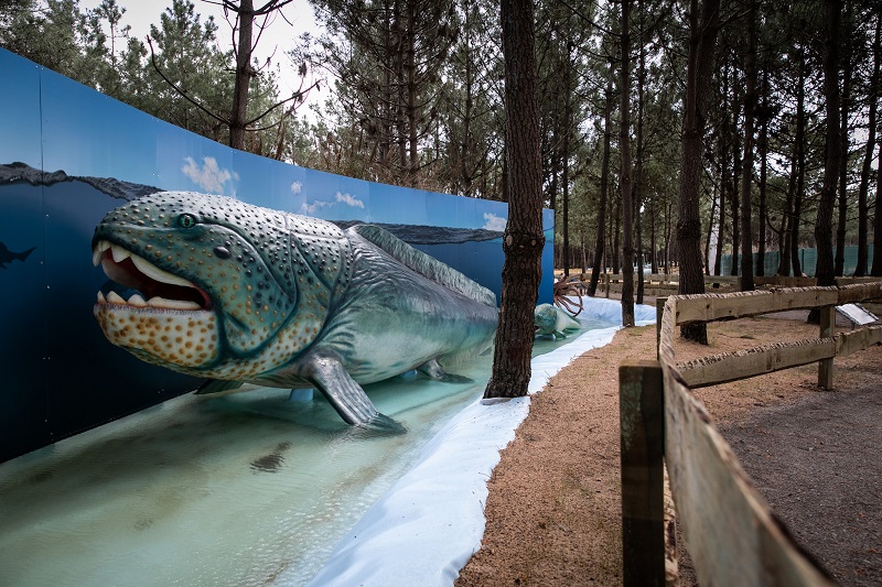 Animais Marinhos no Museu dos dinossauros Dino Parque em Portugal