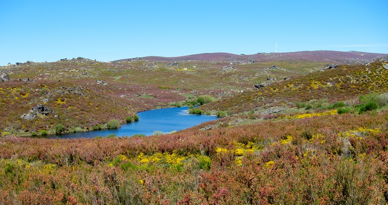 Parque Natural de Montesinho